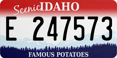ID license plate E247573