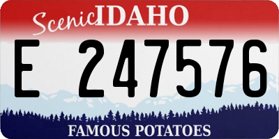 ID license plate E247576
