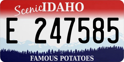 ID license plate E247585