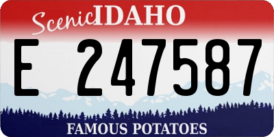 ID license plate E247587