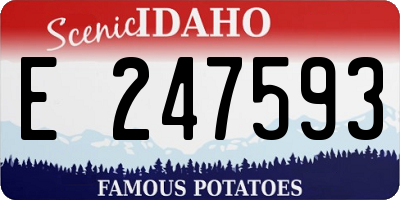 ID license plate E247593