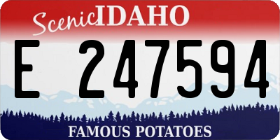 ID license plate E247594