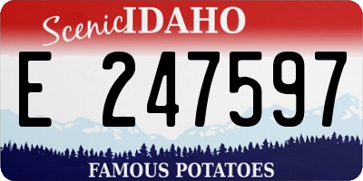 ID license plate E247597