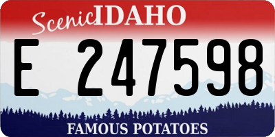 ID license plate E247598