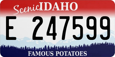 ID license plate E247599