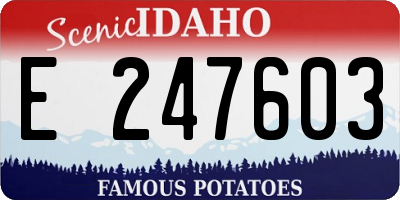 ID license plate E247603