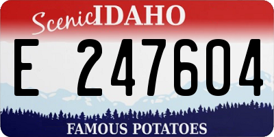 ID license plate E247604