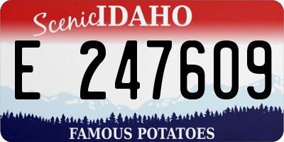 ID license plate E247609