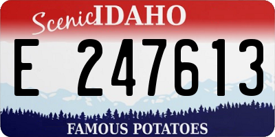 ID license plate E247613