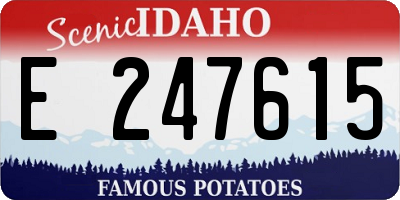 ID license plate E247615