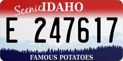 ID license plate E247617