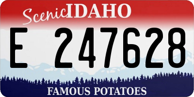 ID license plate E247628