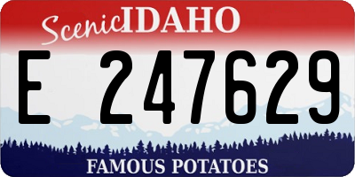 ID license plate E247629