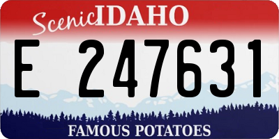 ID license plate E247631