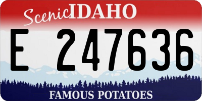 ID license plate E247636