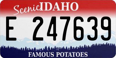 ID license plate E247639