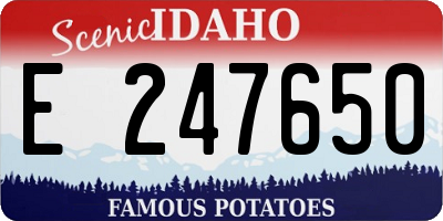 ID license plate E247650