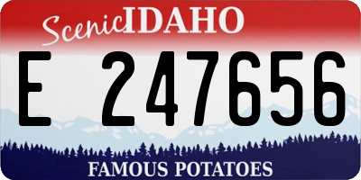 ID license plate E247656