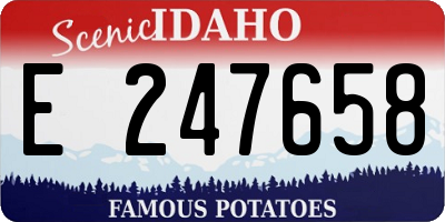 ID license plate E247658