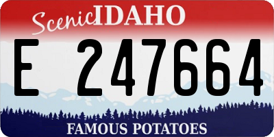 ID license plate E247664
