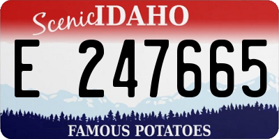 ID license plate E247665