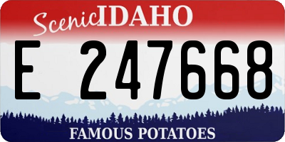 ID license plate E247668