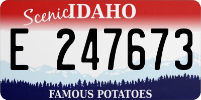 ID license plate E247673
