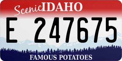 ID license plate E247675