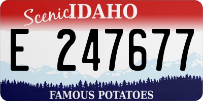 ID license plate E247677