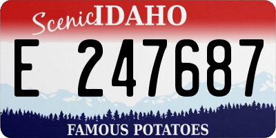 ID license plate E247687