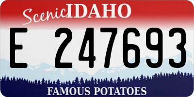 ID license plate E247693