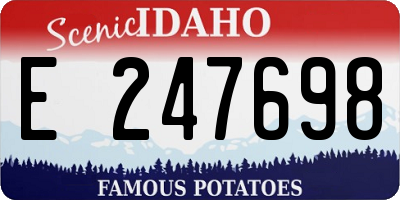 ID license plate E247698