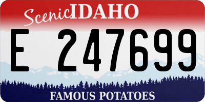 ID license plate E247699