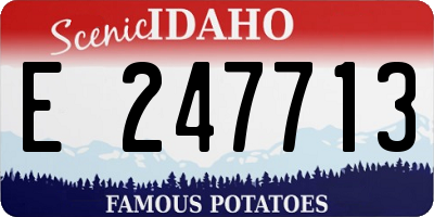 ID license plate E247713