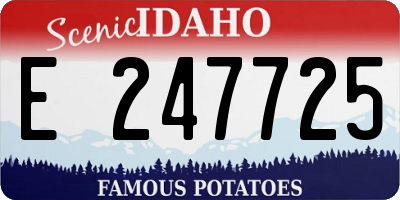 ID license plate E247725