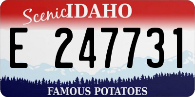 ID license plate E247731
