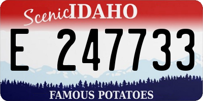 ID license plate E247733