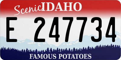 ID license plate E247734
