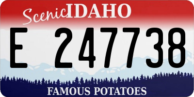 ID license plate E247738