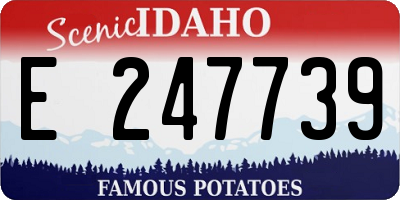 ID license plate E247739
