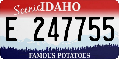 ID license plate E247755
