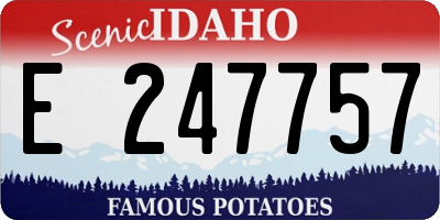 ID license plate E247757