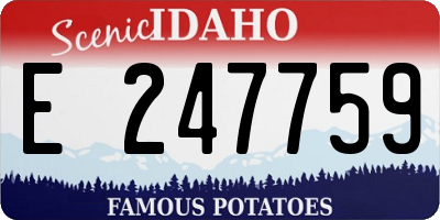 ID license plate E247759