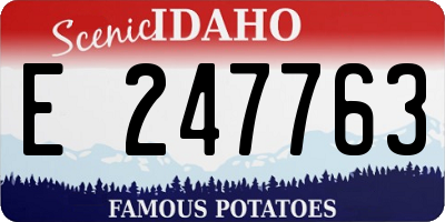 ID license plate E247763