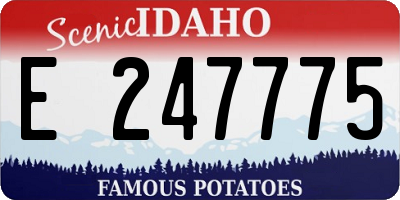 ID license plate E247775