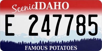 ID license plate E247785