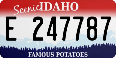 ID license plate E247787