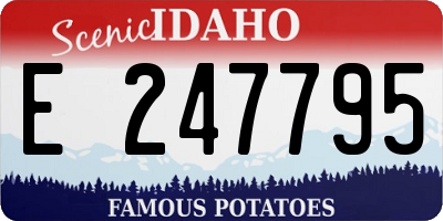 ID license plate E247795