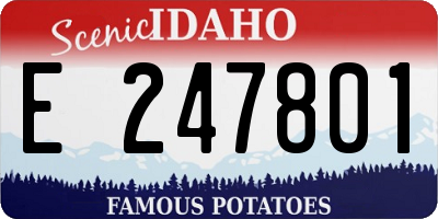 ID license plate E247801