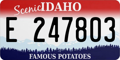 ID license plate E247803